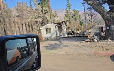 We Need Your Help – Philozoia Animal Rescue Fire Cleanup